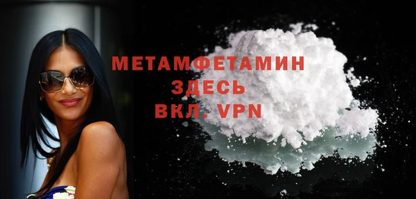 шишки Верхний Тагил