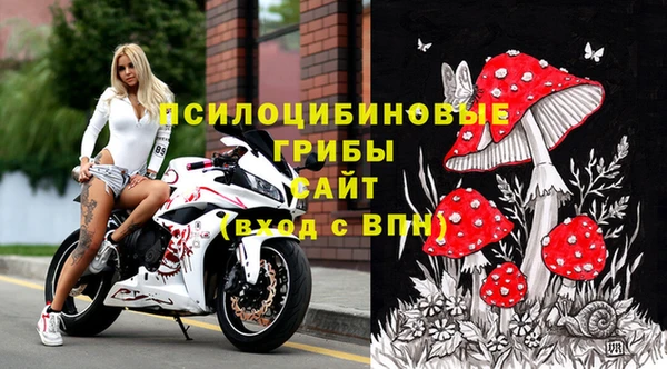 2c-b Волосово