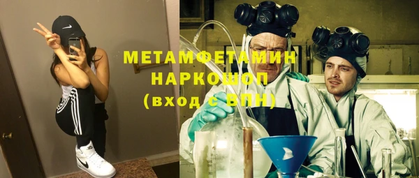 индика Богородицк
