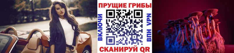 Галлюциногенные грибы прущие грибы  даркнет сайт  Зима 